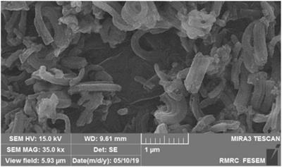 Pd@Py2PZ@MSN as a Novel and Efficient Catalyst for C–C Bond Formation Reactions